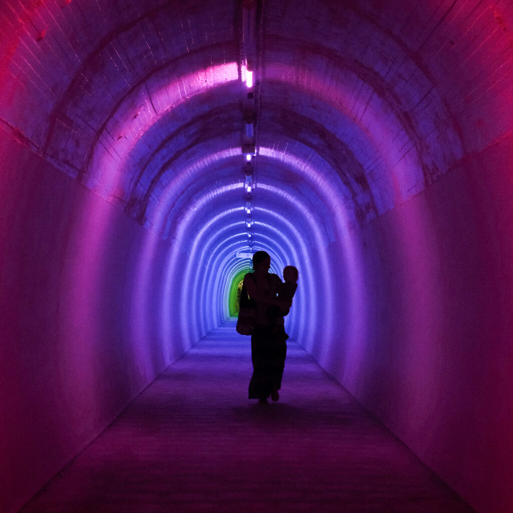 Aotearoa's Design City: A Day Excursion to Whanganui